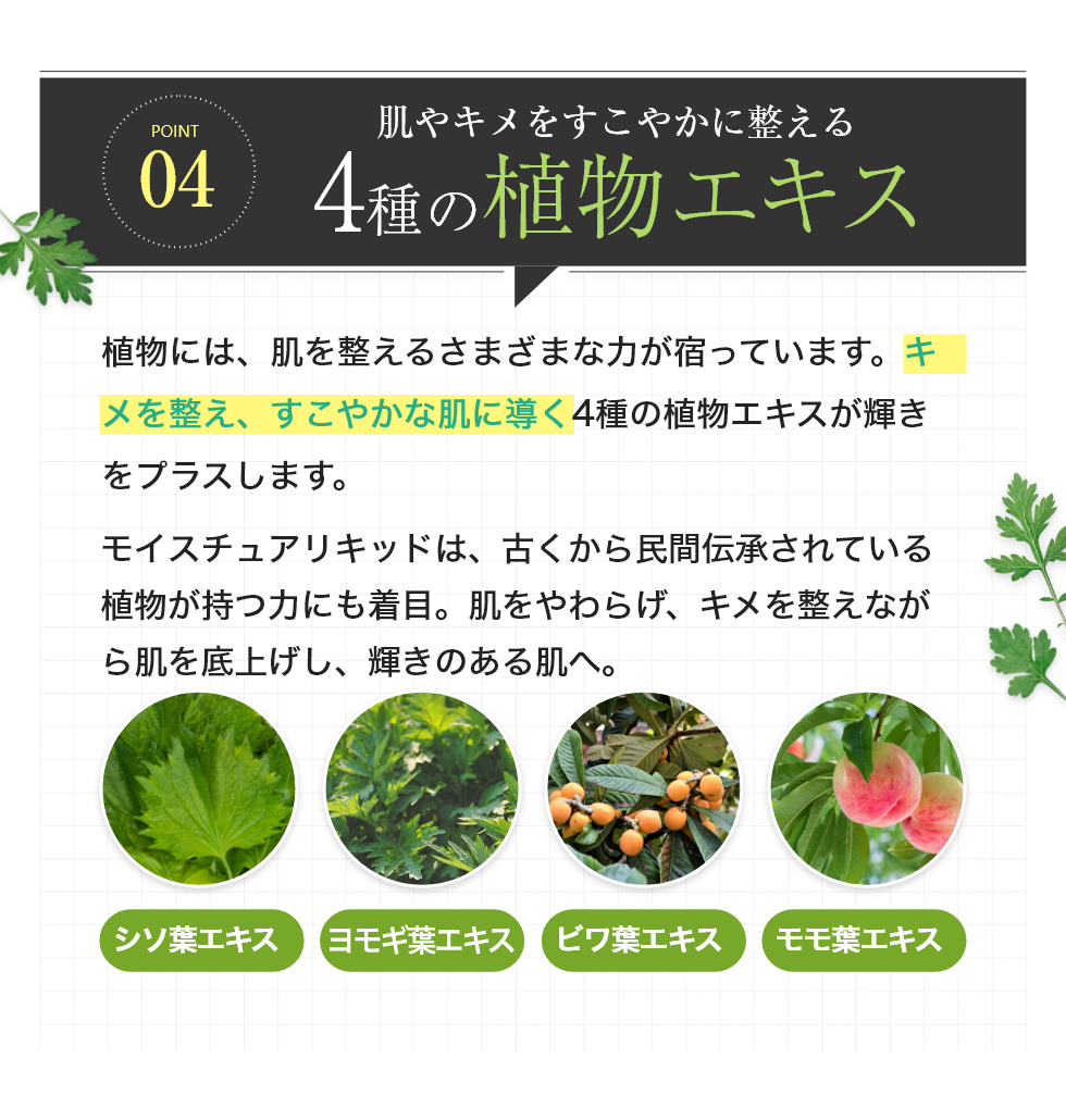 肌やキメをすこやかに整える4種の植物エキス